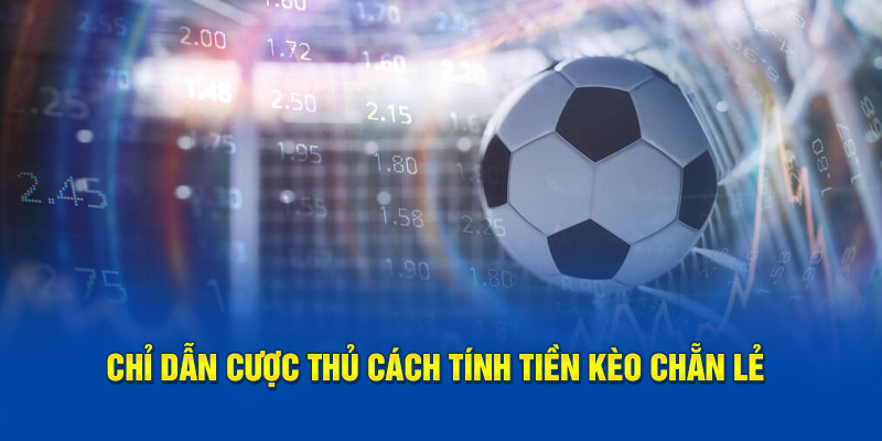 Chỉ dẫn cược thủ cách tính tiền kèo chẵn lẻ  